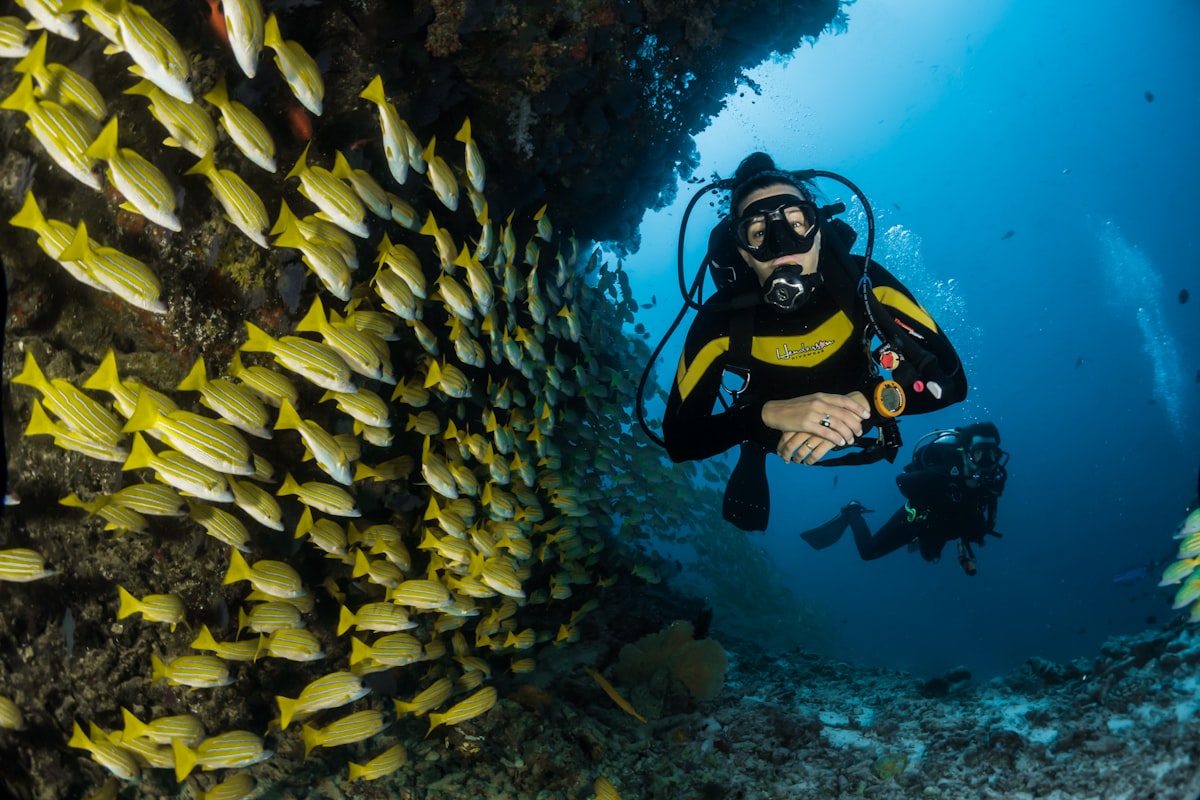 Buceo en Arrecifes de Coral: Explorando los Ecosistemas Submarinos mas Fragiles