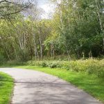forest trail (foto: Don'taskwhyImadethis / CC BY-SA 4.0, Wikimedia Commons)