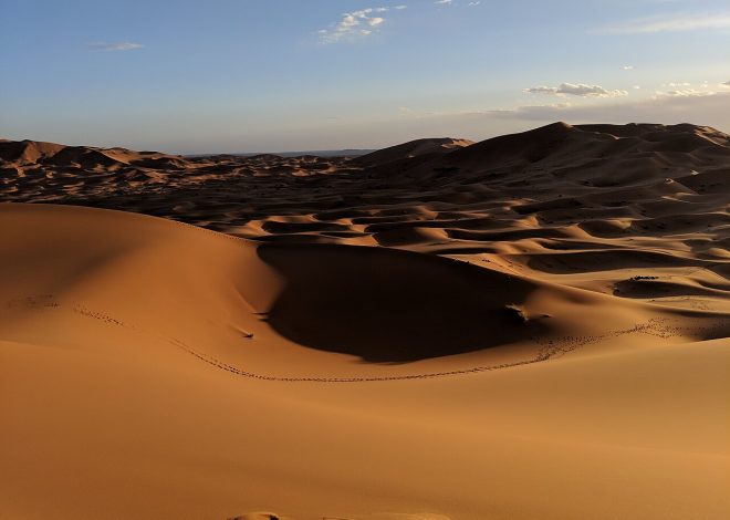 Cómo tratar el agua en la naturaleza: métodos y precauciones