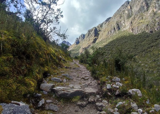 Qué es la biodiversidad y por qué importa
