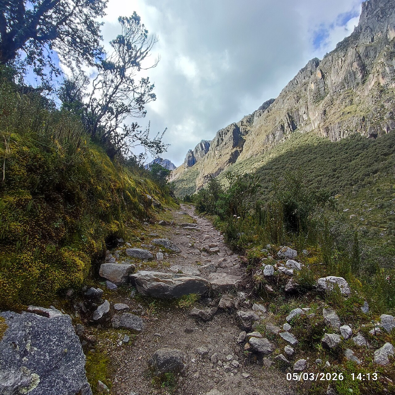 Qué es la biodiversidad y por qué importa