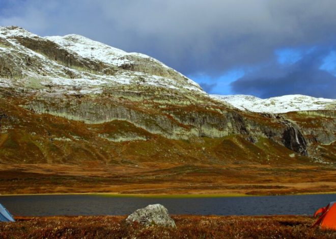 El principio de no dejar rastro (Leave No Trace)