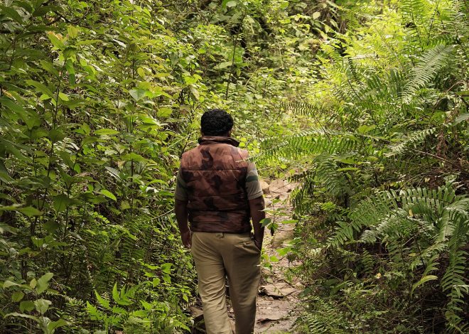 Los ríos: por qué son importantes para la naturaleza