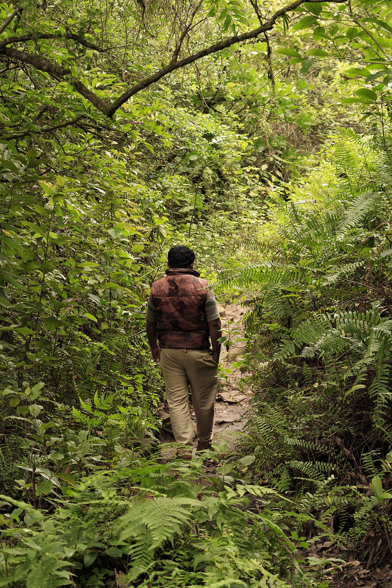 Los ríos: por qué son importantes para la naturaleza
