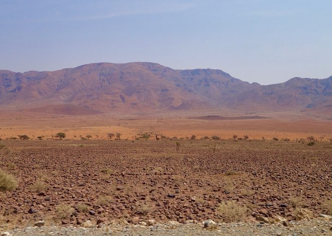 Los bastones de trekking: para qué sirven