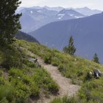 forest trail (foto: Mount Rainier National Park from Ashford, WA, United States / Public domain, Wikimedia Commons)