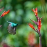 bird in flight