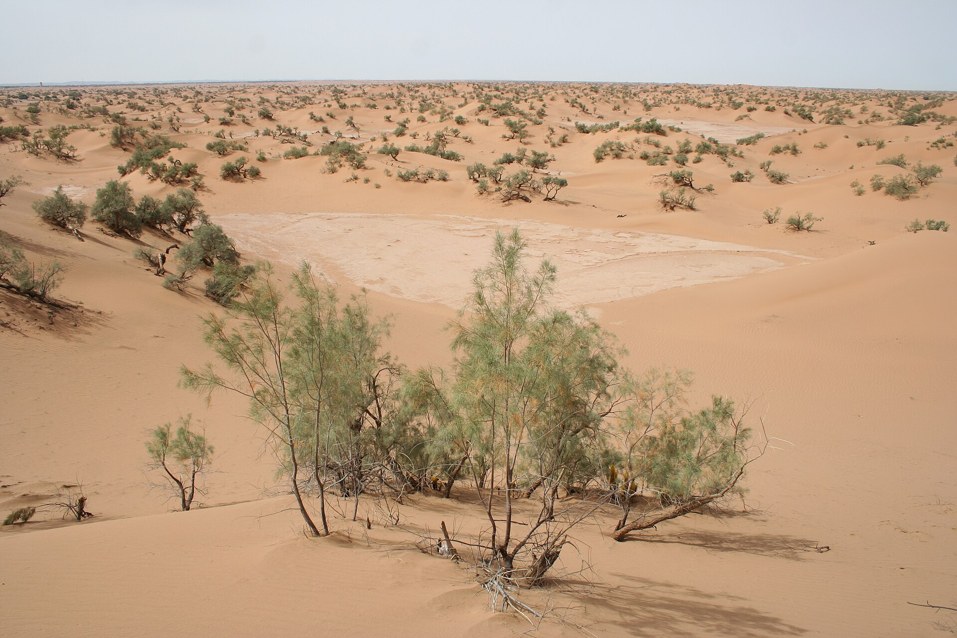 Chegaga tiene más silencio y Chebbi, más asfalto cerca