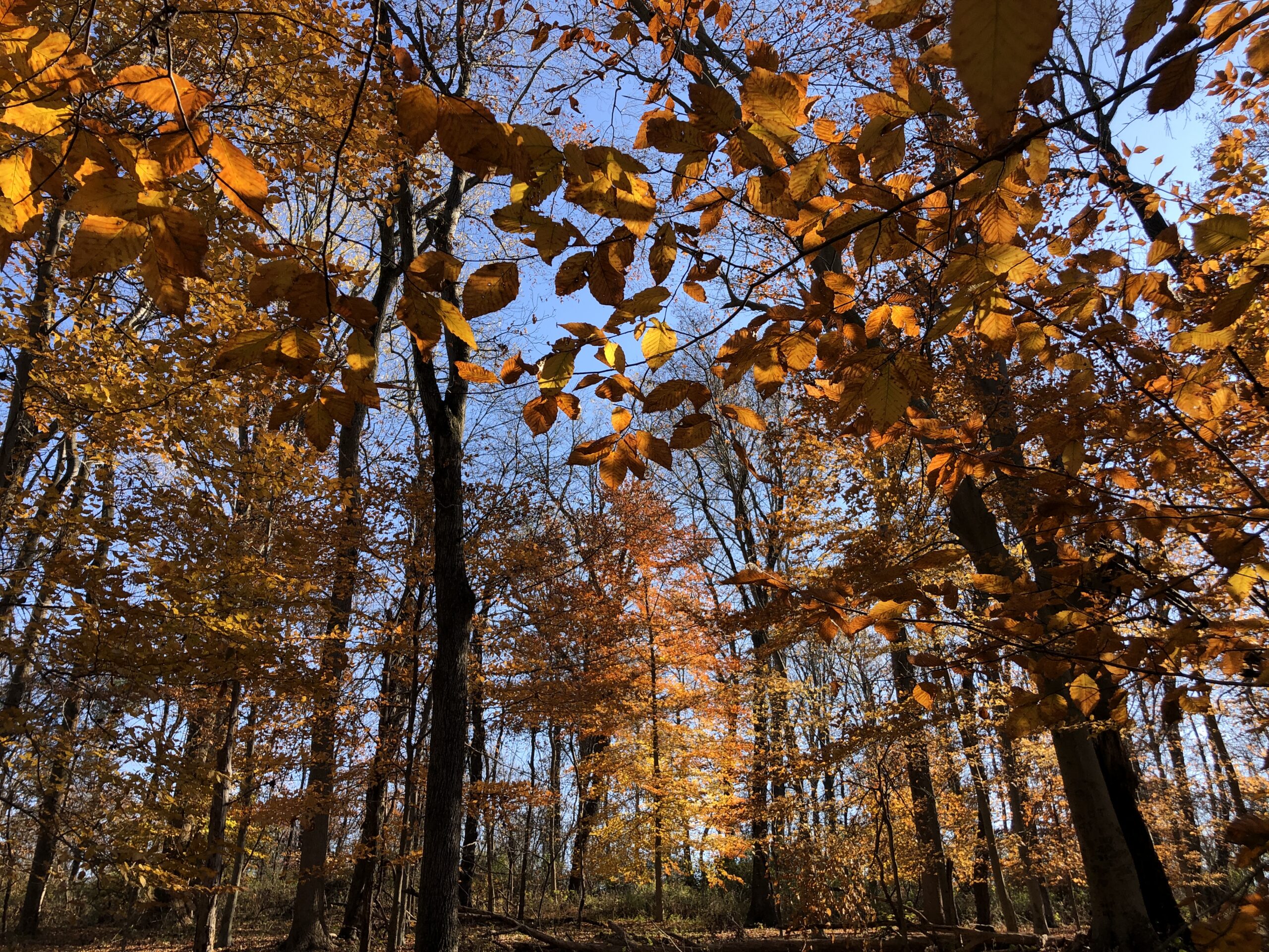 Cinco escapadas de aventura desde Madrid y Barcelona para un fin de semana de otoño