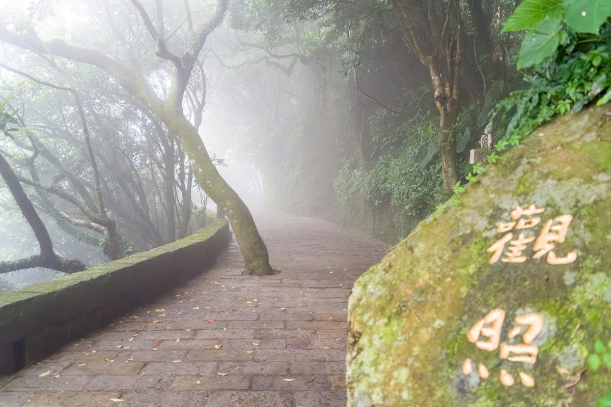 Caminos ancestrales que revelan la historia de un lugar