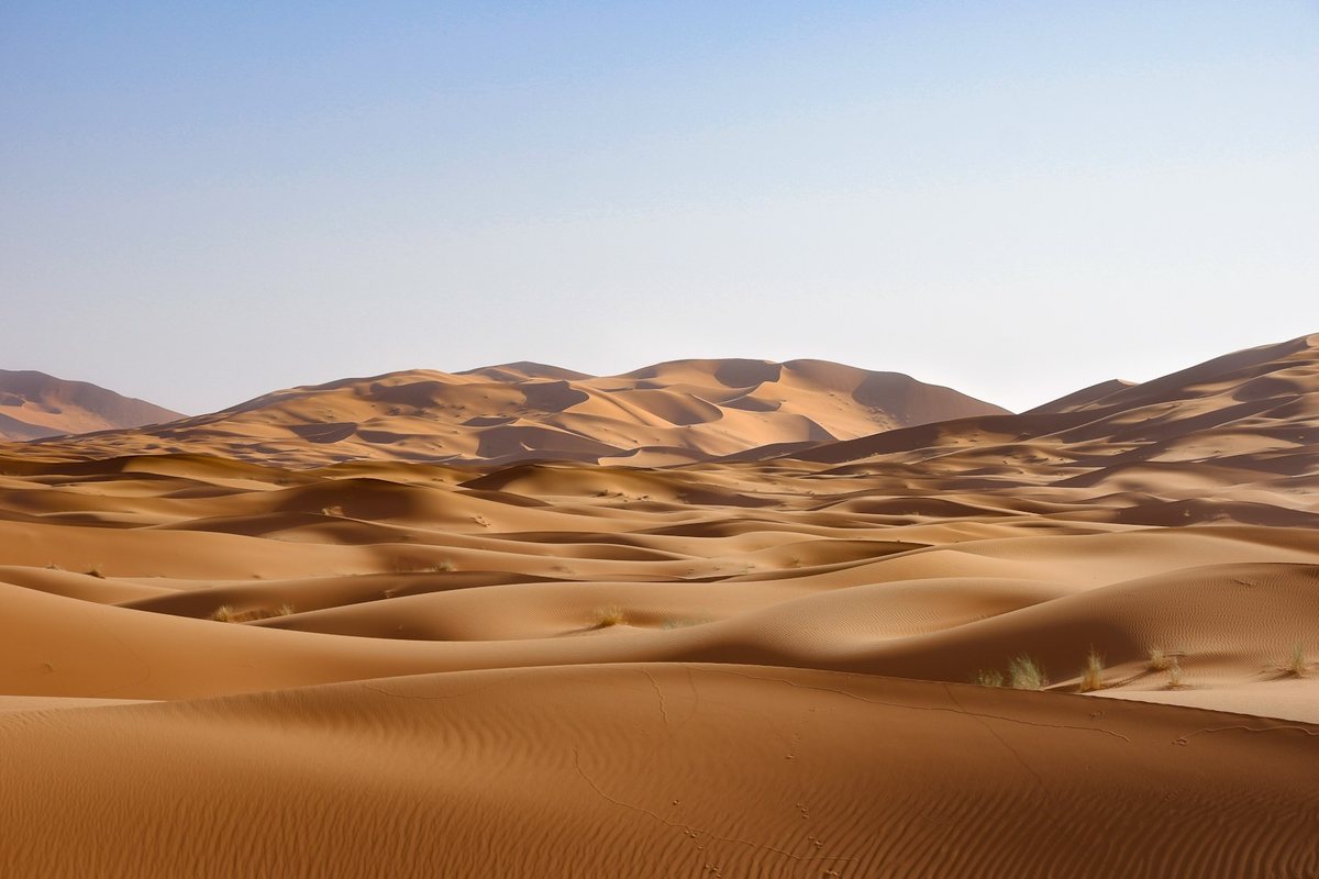 Expediciones al Desierto del Sahara: Belleza, Silencio y Supervivencia