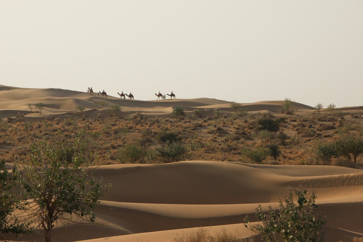 Expediciones al desierto: Supervivencia y belleza