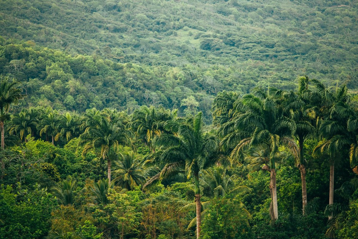 Explorando selvas vírgenes en busca de la biodiversidad perdida