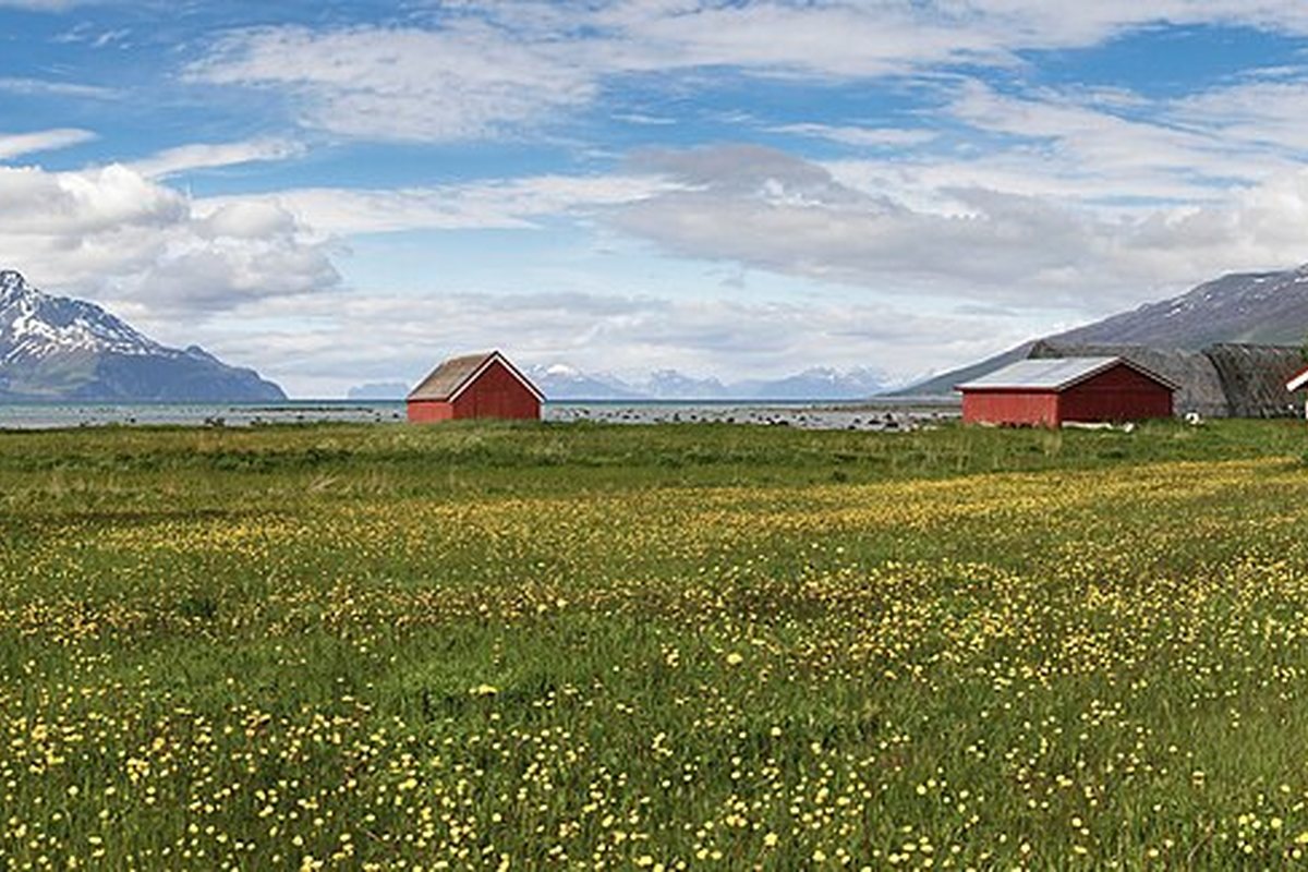 Fiordos de Noruega: Guia Practica para Explorar en Kayak, Trekking y Ferry los Paisajes Costeros Mas Espectaculares de Europa