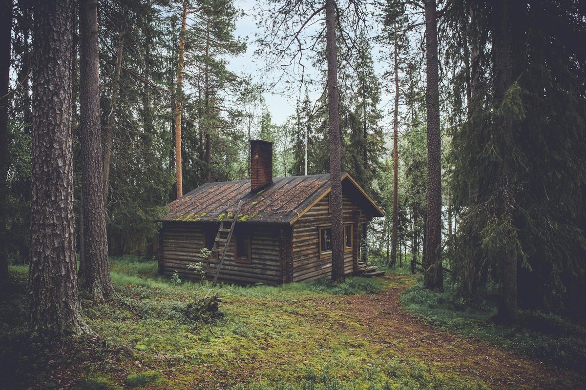 La experiencia de convivir con la naturaleza en eco-cabins