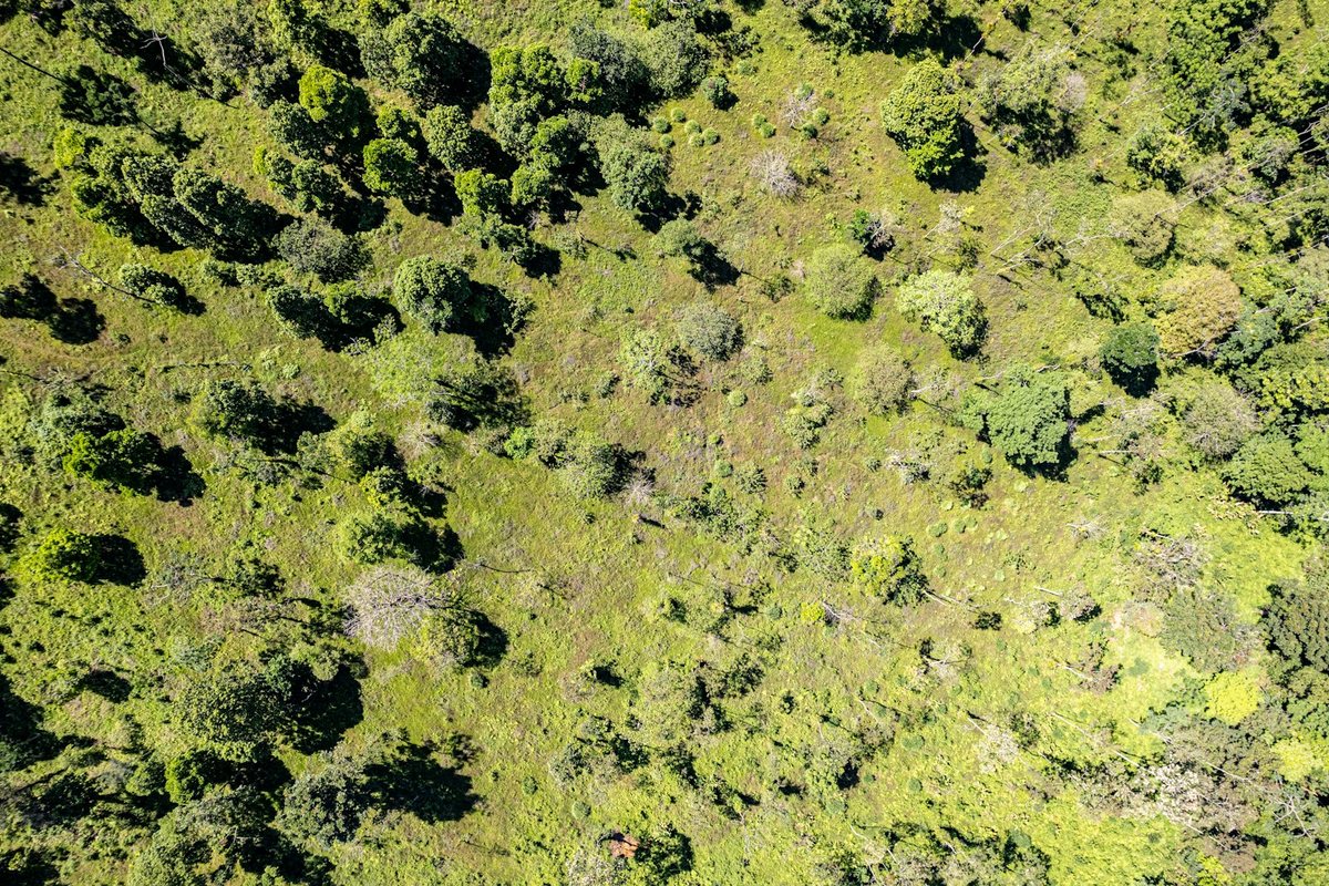 La relación entre el turismo y la conservación del medio ambiente