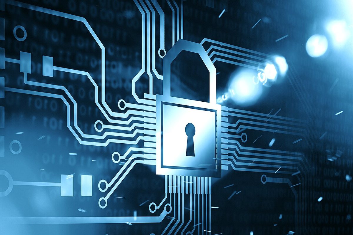 Privacidad en el Camino