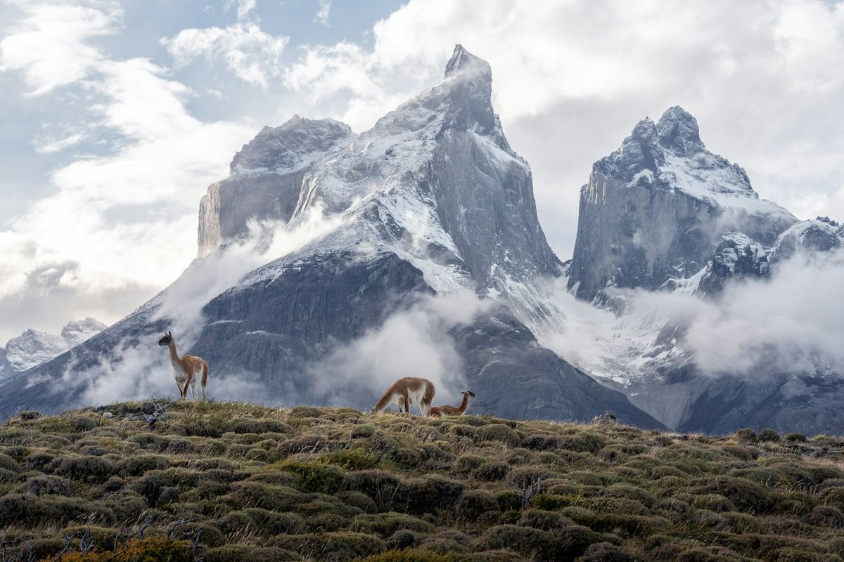Rutas desconocidas para los amantes del trekking en América Latina