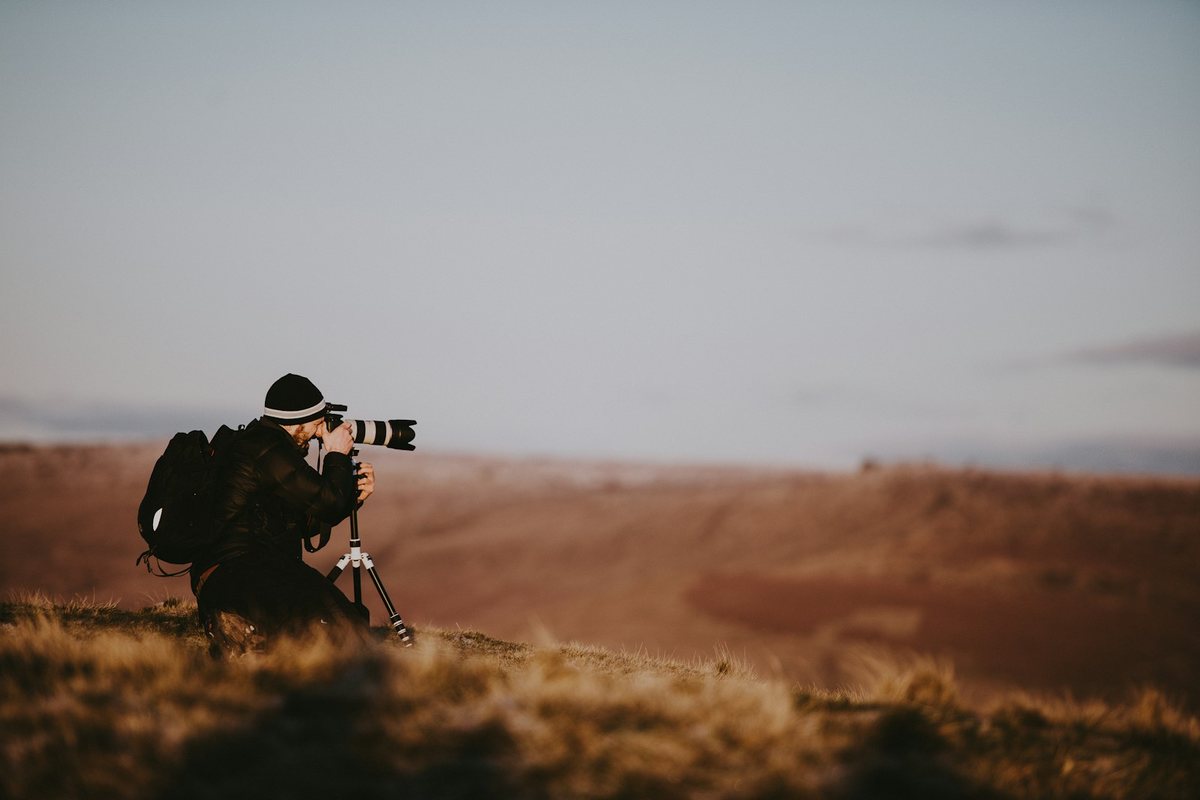 Safaris fotográficos: Captura la vida salvaje