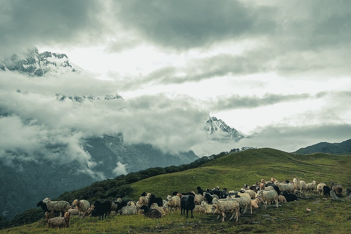 Trekking en el Himalaya: Guia Completa para una Aventura Inolvidable