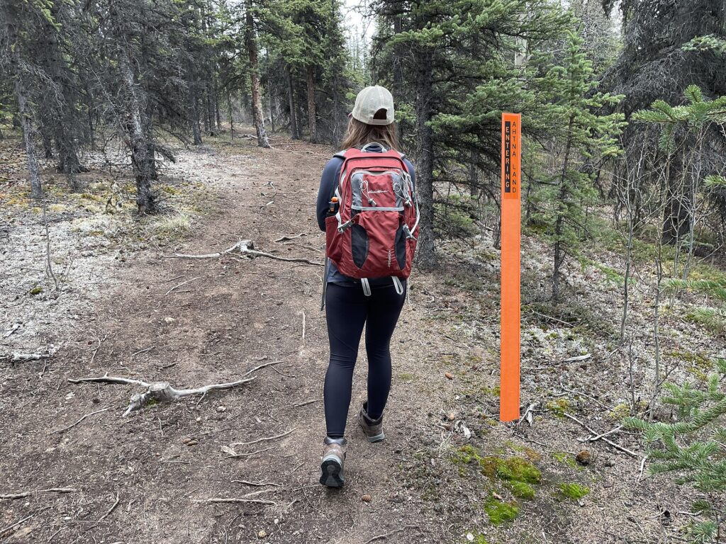Caminante solitario avanzando por el filo de una duna con el viento levantando arena