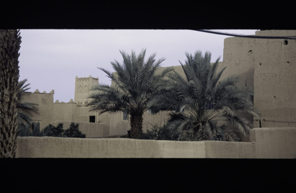 Palmeral denso junto a una construcción de adobe con montañas áridas al fondo